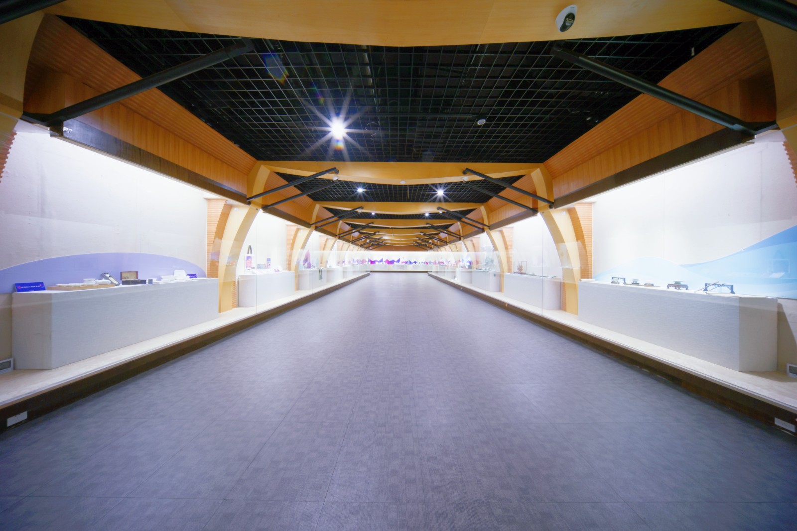 6C9A7377.JPG