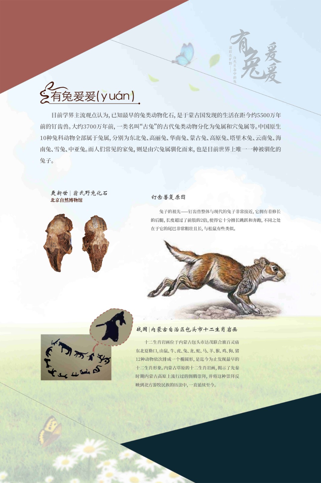 活页夹1_Page2.jpg